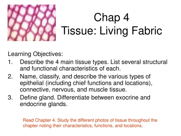 Chap 4 Tissue: Living Fabric