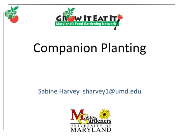 Companion Planting