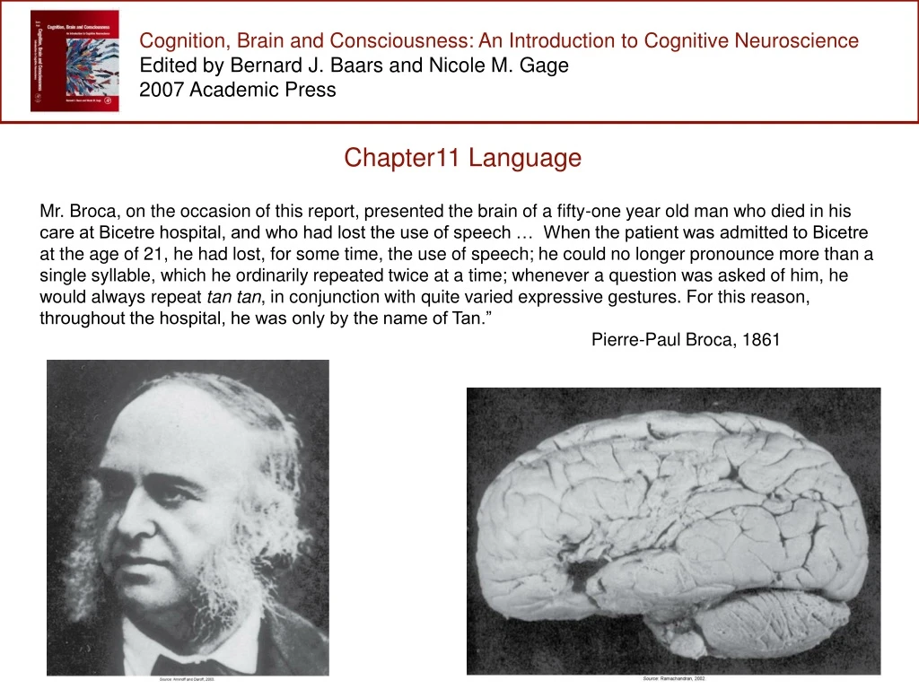 cognition brain and consciousness an introduction