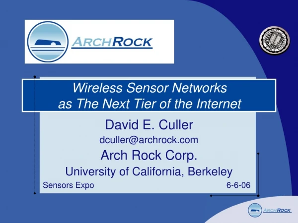 Wireless Sensor Networks as The Next Tier of the Internet