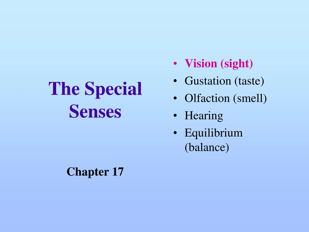 the special senses