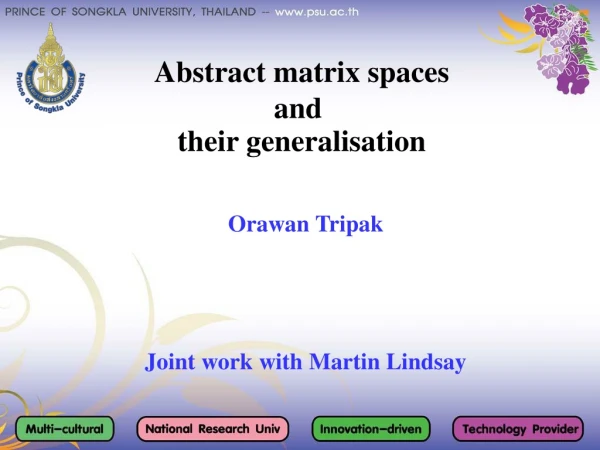 Abstract matrix spaces  and   their generalisation
