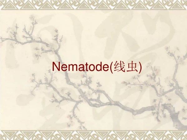 Nematode( 线虫 )