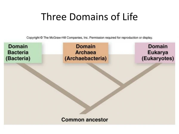 Three Domains of Life