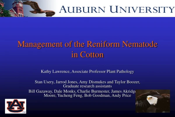 Management of the Reniform Nematode in Cotton