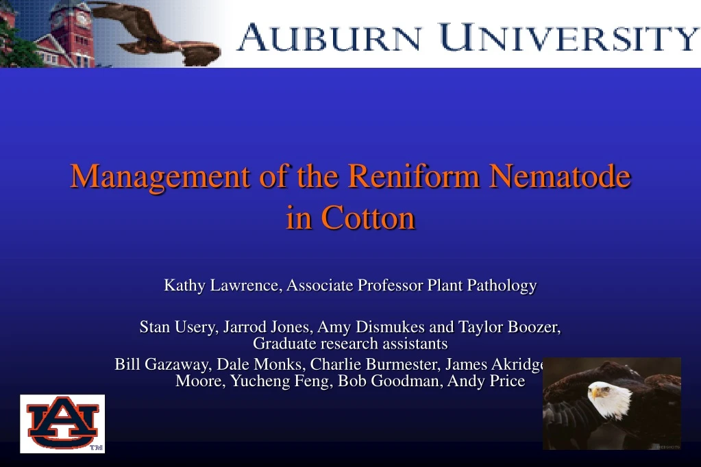 management of the reniform nematode in cotton