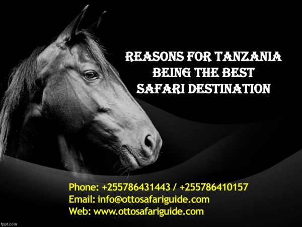 Reasons for Tanzania Being the Best Safari Destination