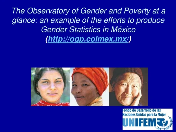 Elements on the construction of the Observatory on gender and poverty