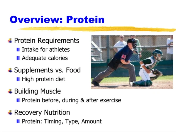 Overview: Protein