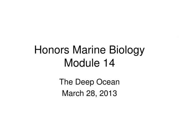 Honors Marine Biology Module 14