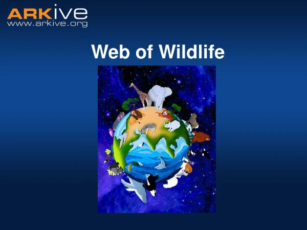Web of Wildlife