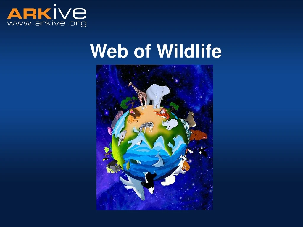 web of wildlife