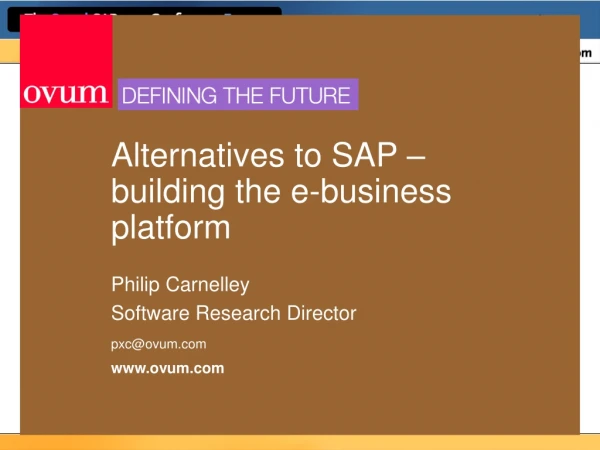 Alternatives to SAP – building the e-business platform