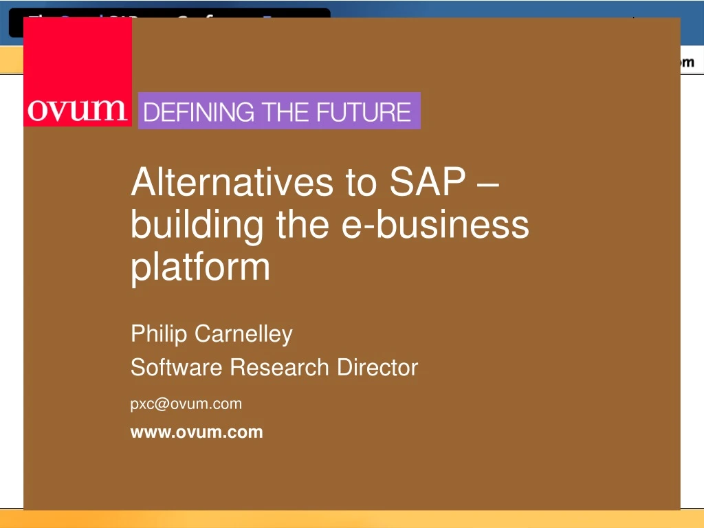 alternatives to sap building the e business