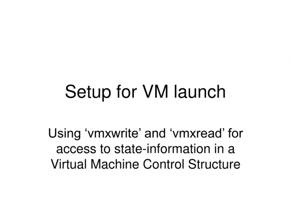 Setup for VM launch