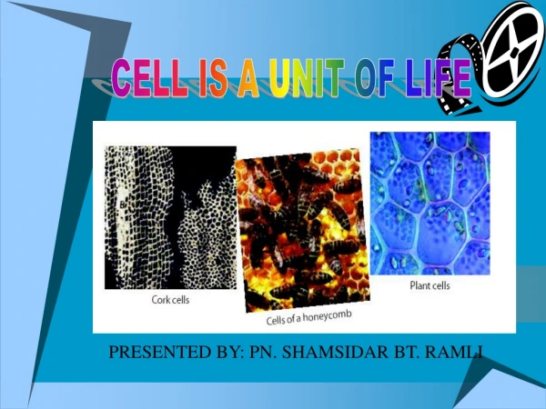 CELL IS A UNIT OF LIFE