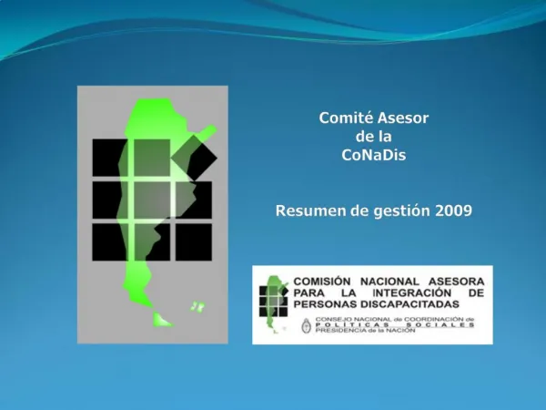 Comit Asesor de la CoNaDis Resumen de gesti n 2009