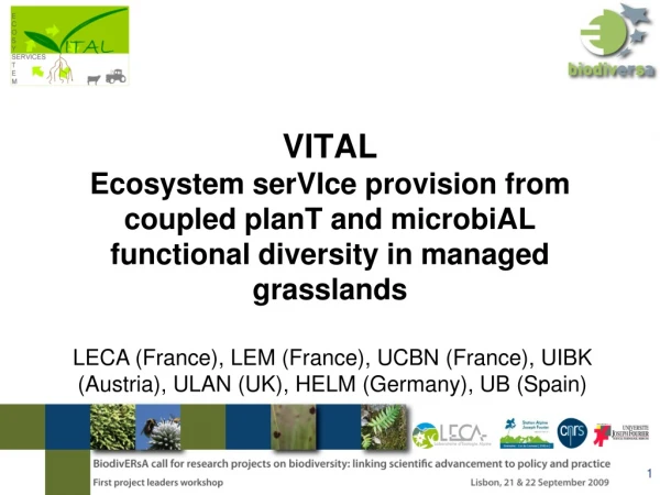 LECA (France), LEM (France), UCBN (France), UIBK (Austria), ULAN (UK), HELM (Germany), UB (Spain)