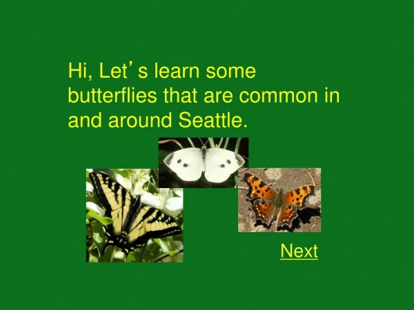 Hi, Let ’ s learn some butterflies that are common in and around Seattle.