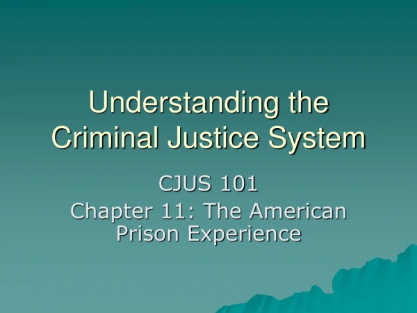 Understanding the Criminal Justice System