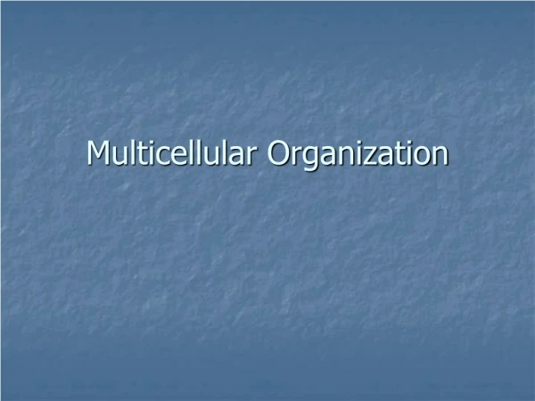 Multicellular Organization
