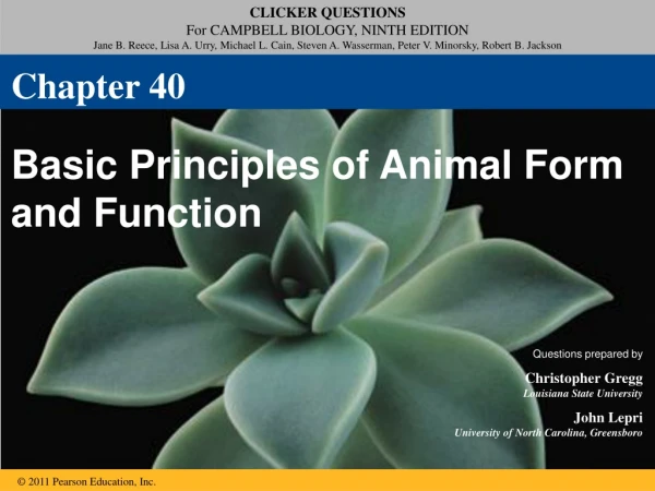 Basic Principles of Animal Form and Function