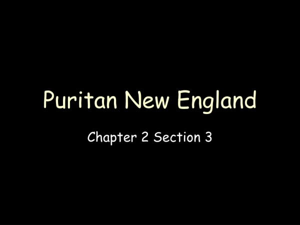 Puritan New England