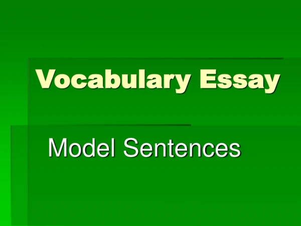 Vocabulary Essay