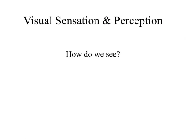 Visual Sensation &amp; Perception