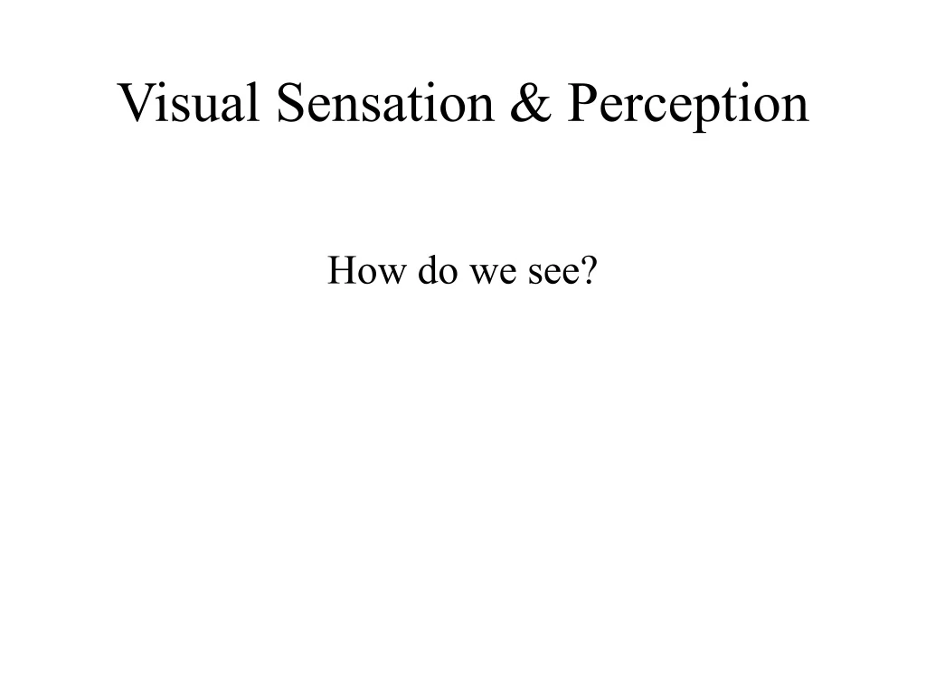 visual sensation perception