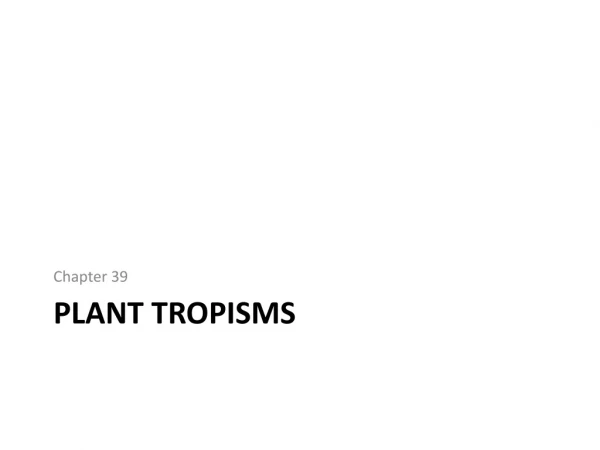 Plant Tropisms
