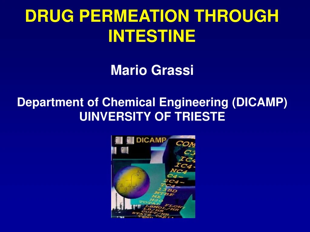 drug permeation through intestine