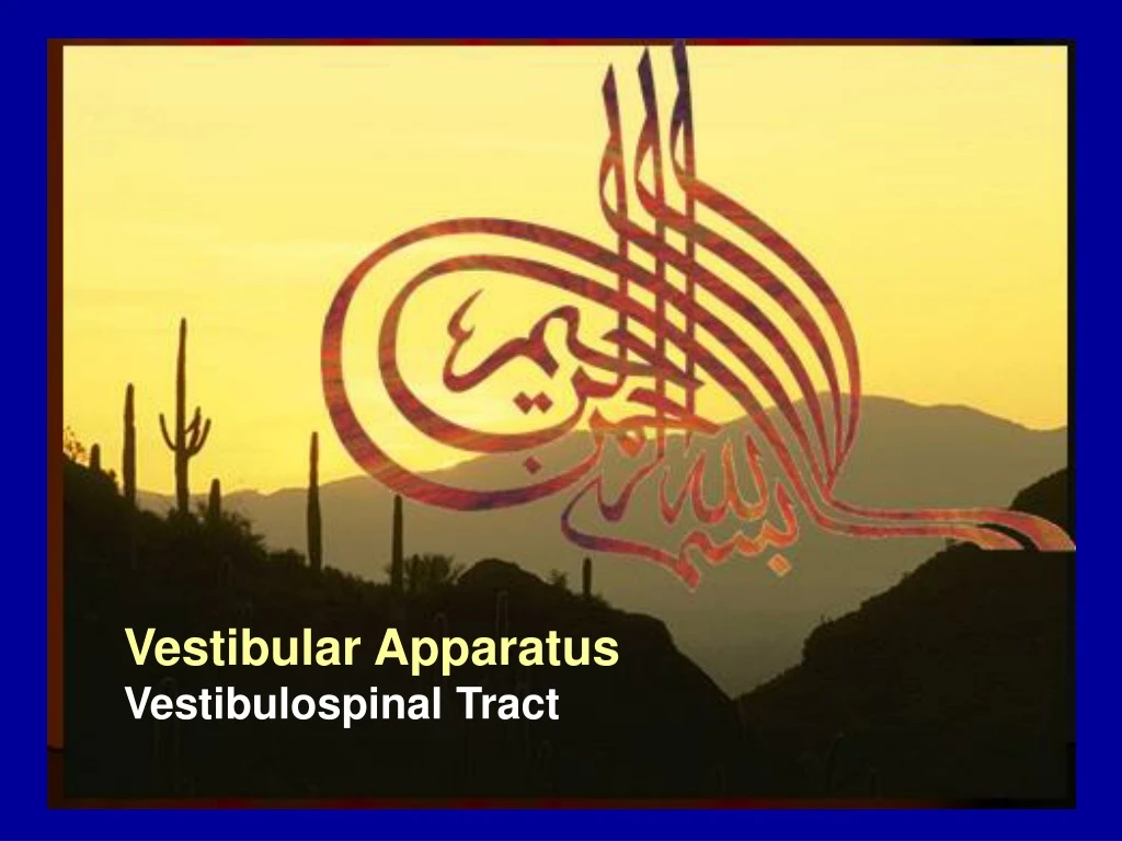 vestibular apparatus vestibulospinal tract