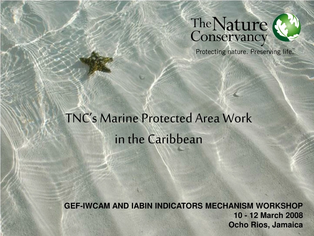 tnc s marine protected area work in the caribbean