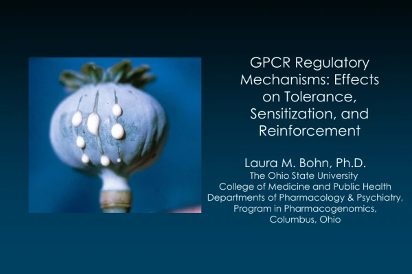 GPCR Regulatory Mechanisms: Effects on Tolerance, Sensitization, and Reinforcement