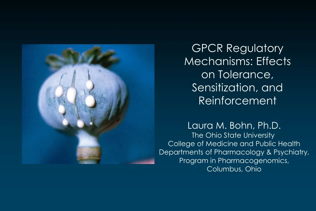 gpcr regulatory mechanisms effects on tolerance