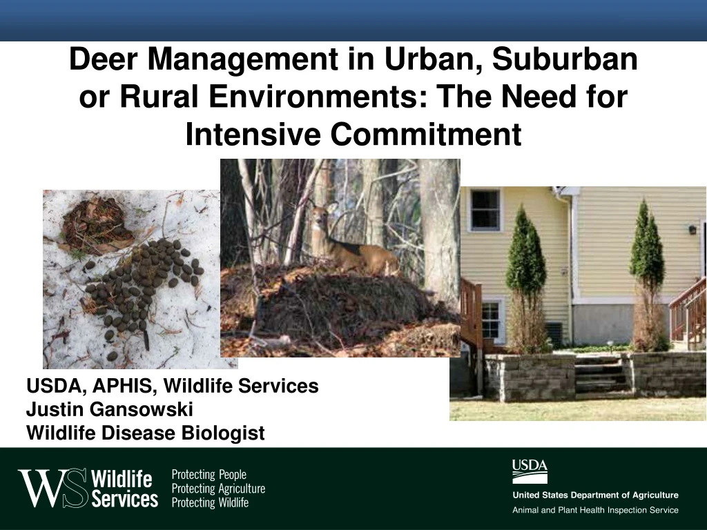 deer management in urban suburban or rural environments the need for intensive commitment