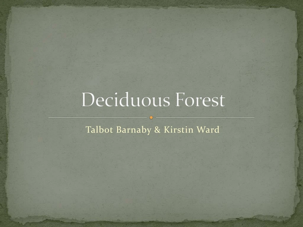 deciduous forest