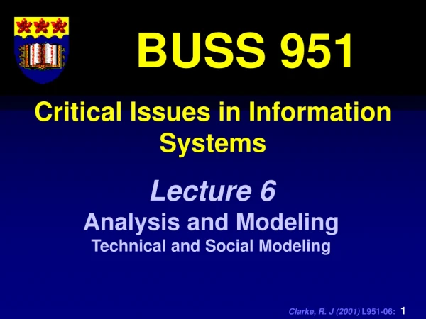 Critical Issues in Information Systems
