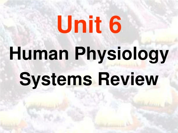 Unit 6 Human Physiology Systems Review