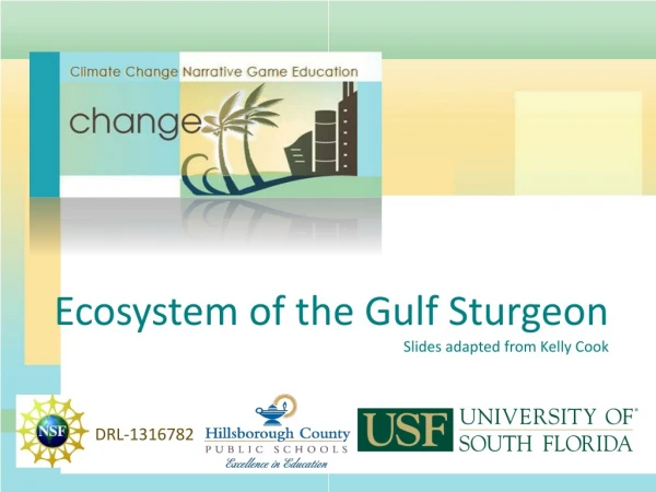 Ecosystem of the Gulf Sturgeon Slides adapted from Kelly Cook