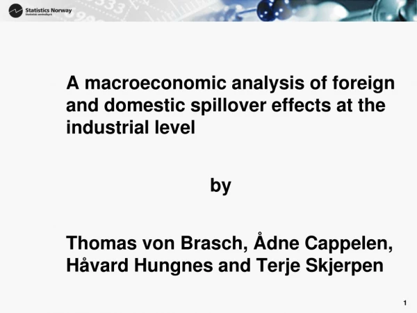 A macroeconomic analysis of foreign and domestic spillover effects at the industrial level