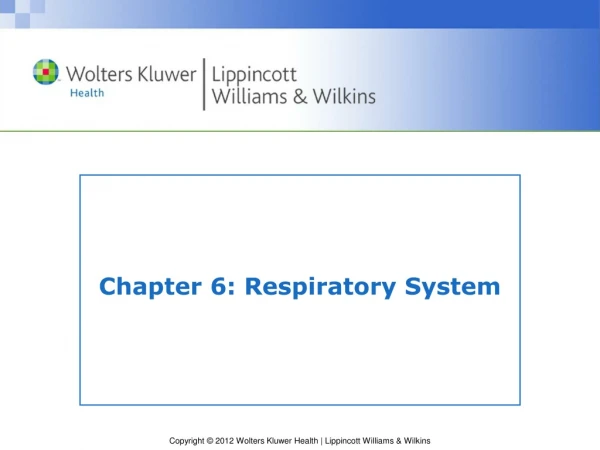 Chapter 6: Respiratory System