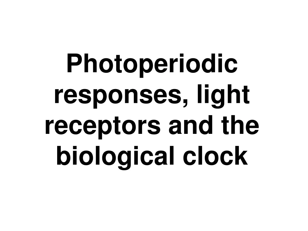 photoperiodic responses light receptors and the biological clock