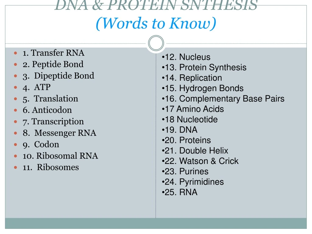 dna protein snthesis words to know