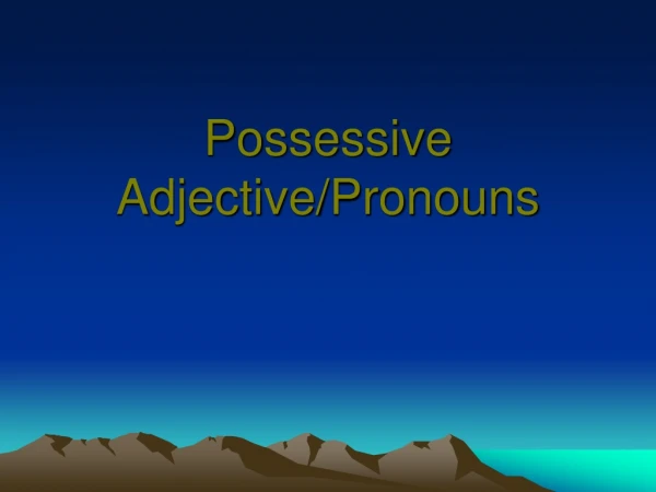 Possessive Adjective/Pronouns