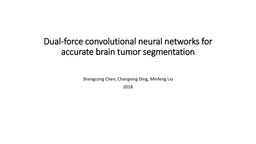 dual force convolutional neural networks for accurate brain tumor segmentation