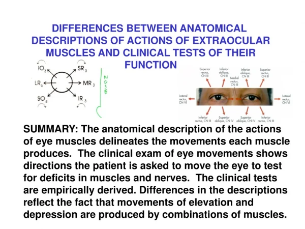 DIFFERENCES BETWEEN ANATOMICAL  DESCRIPTIONS OF ACTIONS OF EXTRAOCULAR