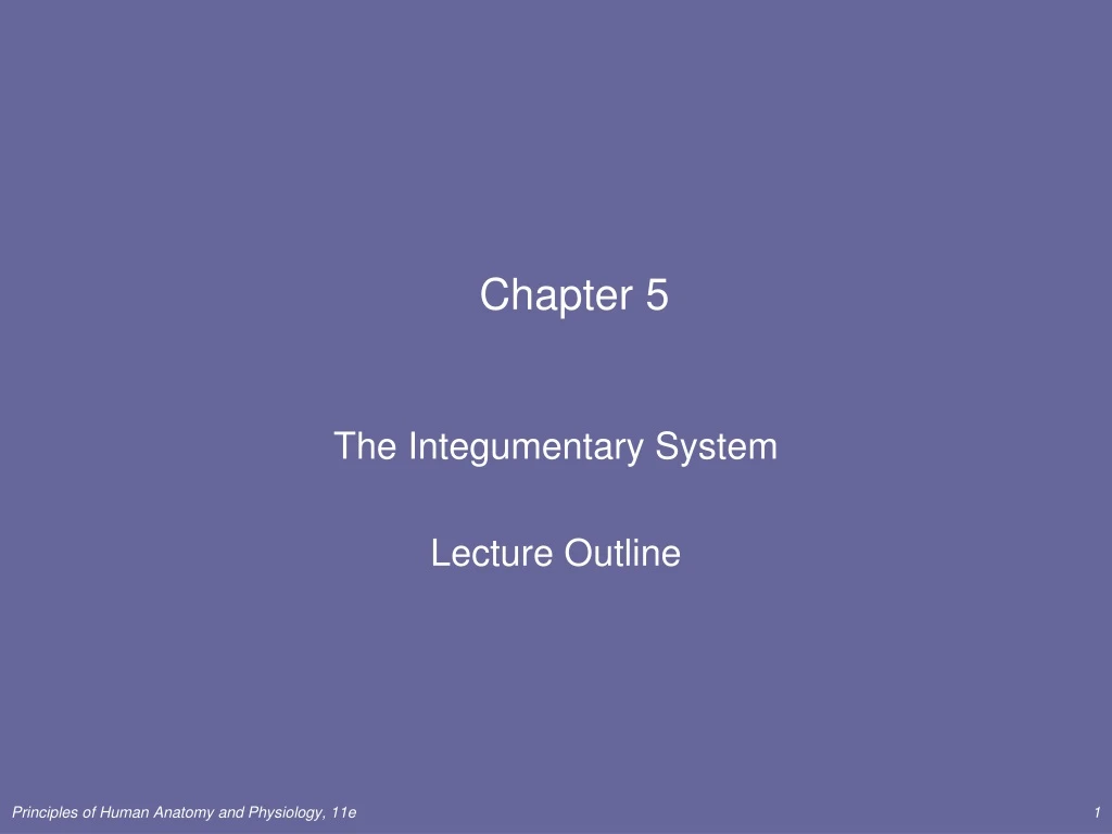 chapter 5