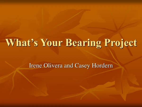 What’s Your Bearing Project